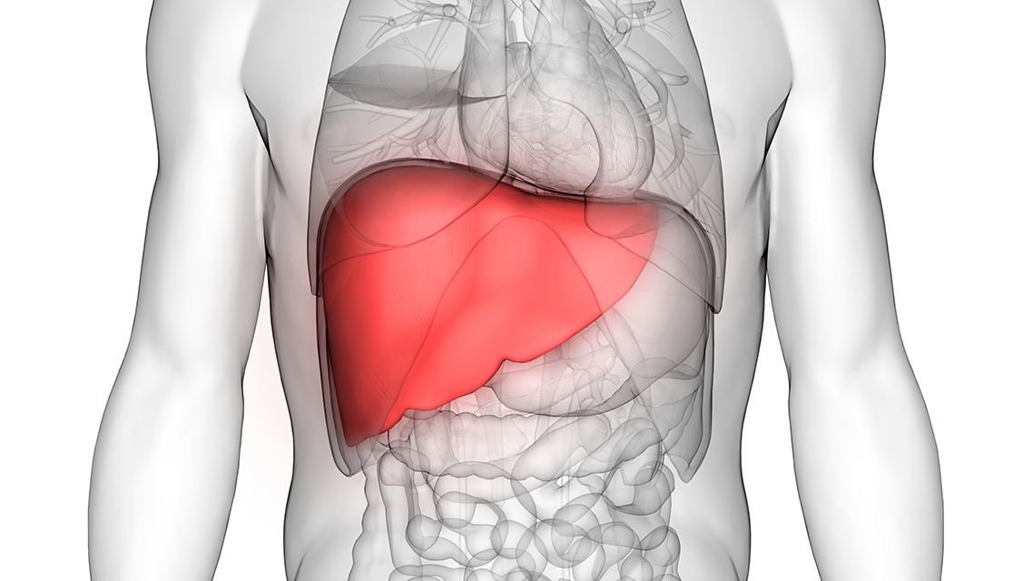 Liver Fibrosis and Cirrhosis